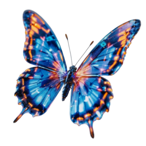 Mariposa